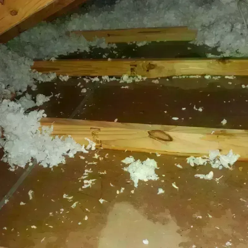 Attic Water Damage in Vevay, IN